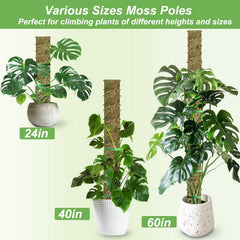 HOLANHING 40 inch moss pole side view
