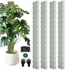 HOLANHING 60" Metal Moss Pole front view with D shape design
