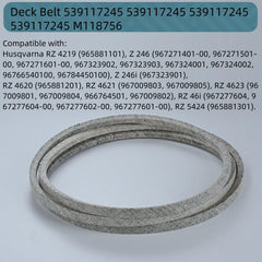 Holdly Deck Belt packaging from front view