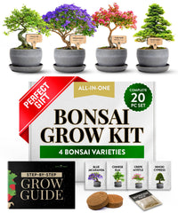 HOME GROWN Bonsai Tree Starter Kit with four plant varieties