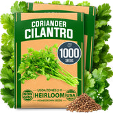 HOME GROWN Cilantro Coriander Seeds pack front view
