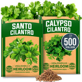 HOME GROWN Cilantro Seeds 500 Seeds front view
