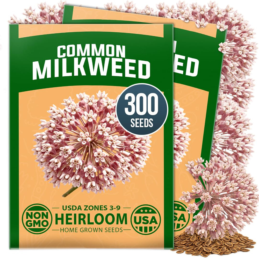 HOME GROWN Common Milkweed Seeds packet front view