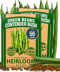 HOME GROWN Contender Bush Bean Seeds front packaging view