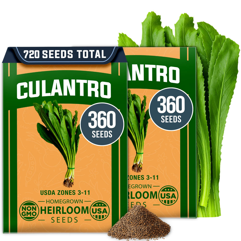 HOME GROWN Culantro Seeds package front view with 720+ seeds