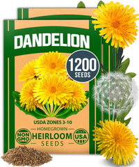 HOME GROWN Dandelion Seeds pack front view with 1200 seeds
