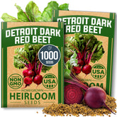 HOME GROWN Detroit Dark Red Beet Seeds front view