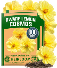 HOME GROWN Dwarf Lemon Cosmos Seeds package front view