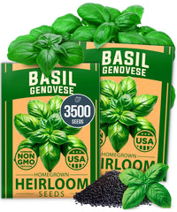 HOME GROWN Genovese Basil Seeds pack front view