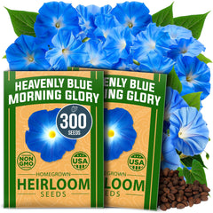 HOME GROWN Heavenly Blue Morning Glory seeds pack front view