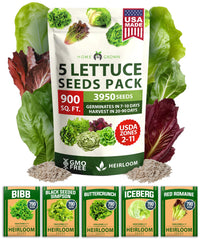 HOME GROWN Lettuce Seeds 5 Variety Mix packaging front view