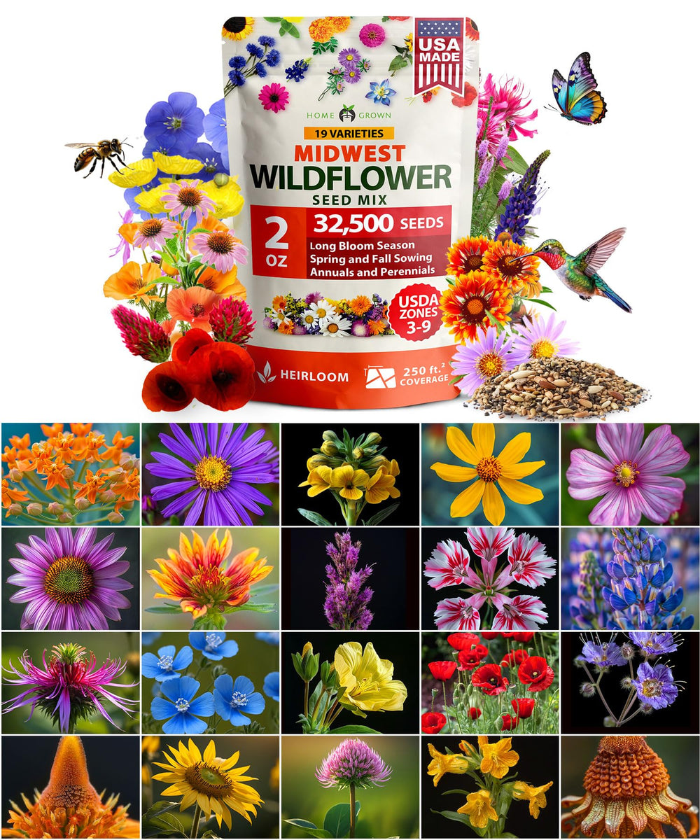 HOME GROWN Midwest Wildflower Mix 32,500+ seeds front view