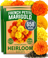 HOME GROWN Petite French Marigold Seeds front packaging view