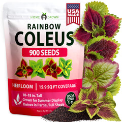 HOME GROWN Rainbow Coleus flower seeds packaging front view