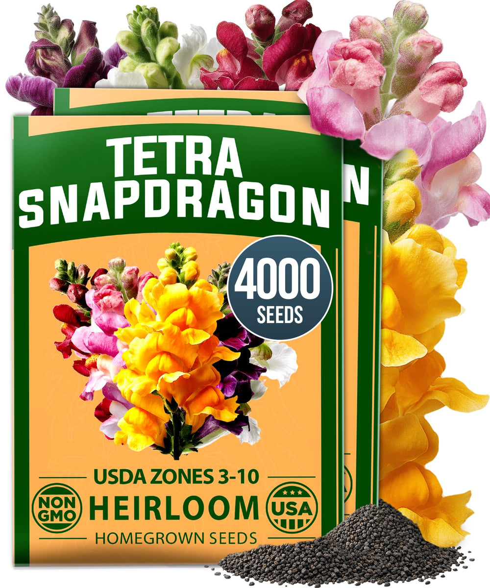 HOME GROWN Tetra Snapdragon seeds multi-colour pack