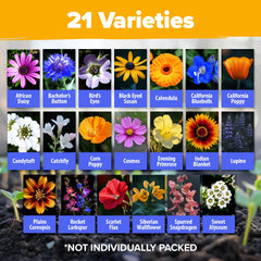 HOME GROWN wildflower seeds assortment close-up