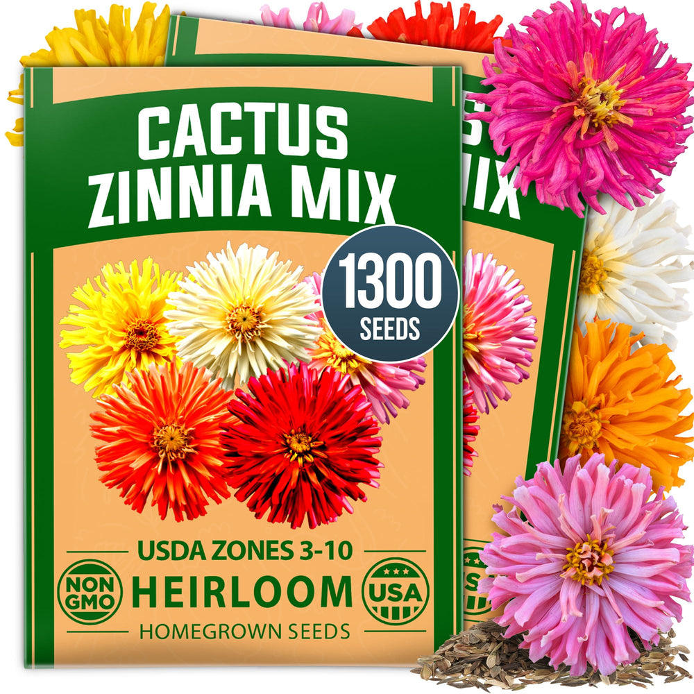 HOME GROWN Zinnia Cactus Mix Seeds package front view