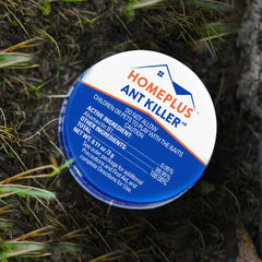 HOME PLUS Ant Killer Bait Stations in kitchen setting