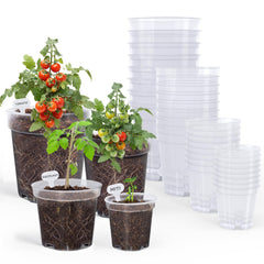 homenote clear nursery pots 3 inch front view