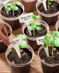 homenote clear nursery pots 4 inch side view