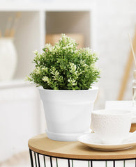 homenote flower pot on a windowsill with plants