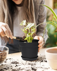 homenote flower pots showing drainage holes and tray