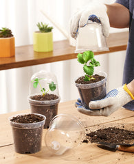 homenote nursery pot with plant tag