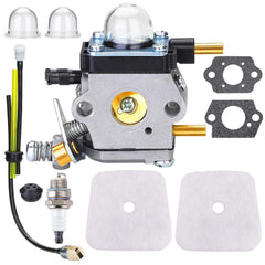 HOODELL C1U-K82 Carburetor front view with air filter and spark plug