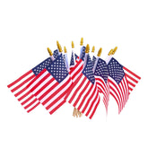 HOOSUN 12 Pcs Small American Flags with wooden sticks