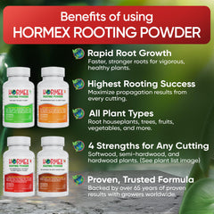 Hormex Rooting Hormone Powder application for plant cuttings