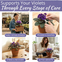 HOUSEPLANT RESOURCE CENTER African Violet Fertilizer liquid pouring