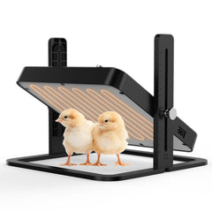 howooiua Chick Heating Plate front view with adjustable height