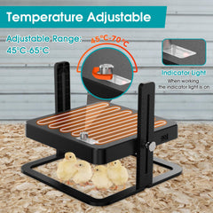 howooiua Chick Heating Plate with stand included