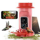 Humbirdy Hummingbird Feeder with Camera front view, red colour