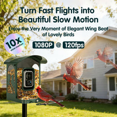 Humbirdy Smart Bird Feeder in a garden setting