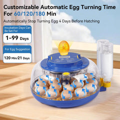 Humorrap egg incubator showing automatic egg turning mechanism