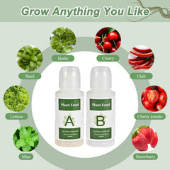 Hydroponic setup using Tigvio Nutrients A&B