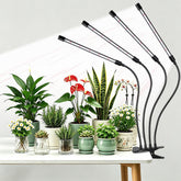 Hywyimlait Black Clip Grow Light front view