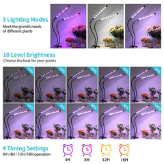 Hywyimlait Grow Light in use with indoor plants