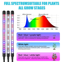 Hywyimlait Grow Light showcasing red, blue, and white LED beads