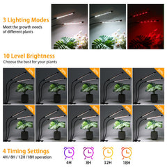 Hywyimlait Grow Lights in use over indoor plants