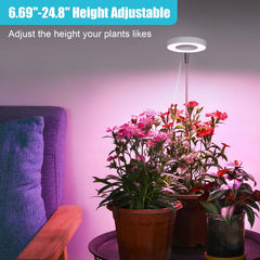 Hywyimlait Halo Ring Grow Light back view with USB connection