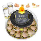 IBKINXX 18 Egg Incubator black model front view