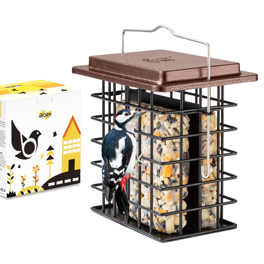 iBorn Double Suet Feeder front view in coffee colour