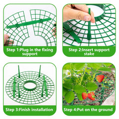 Iceyyyy Strawberry supports showing easy assembly process