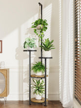 iDavosic.ly 4 Tier Hanging Plant Stand front view, black and brown