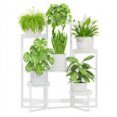 iDavosic.ly 6 Tier Iron Plant Stand white front view