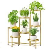 iDavosic.ly 7 Tier Gold Plant Stand side view