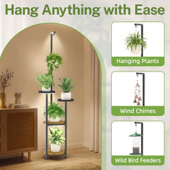 iDavosic.ly plant stand with multiple plants displayed