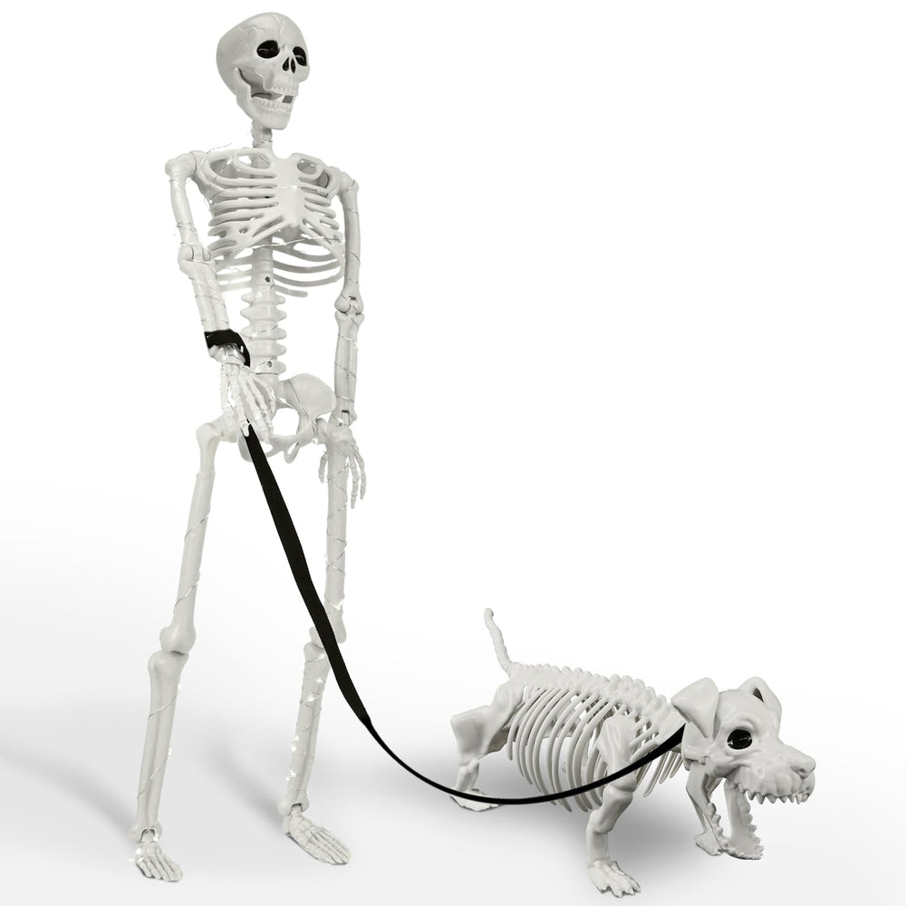 IDEAALS lighted human skeleton with dog Halloween decoration front view